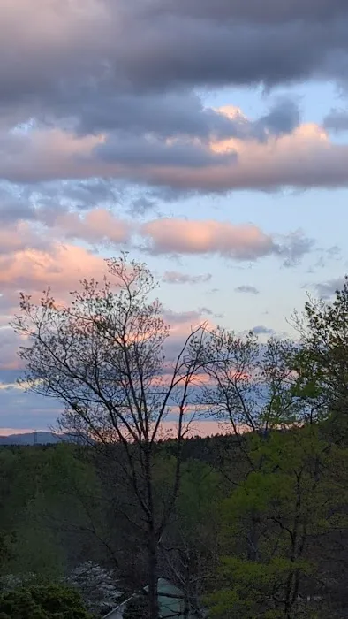 Deer Park Campground 4