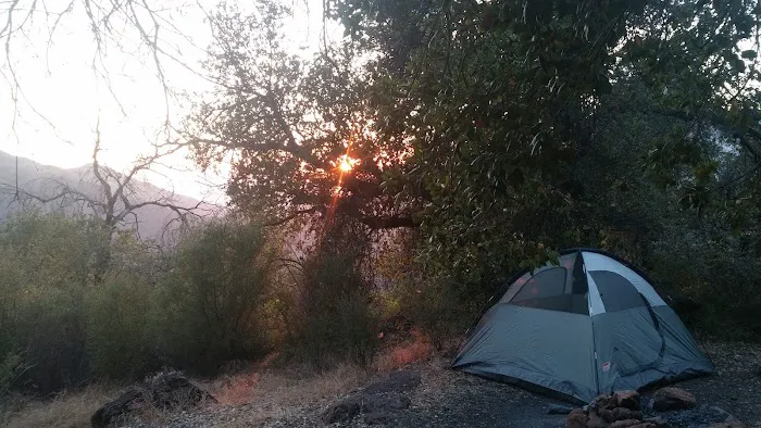 Little Pine Spring Camp 0