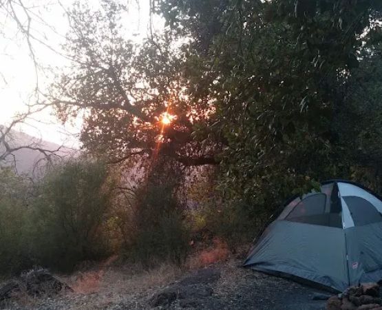 Little Pine Spring Camp