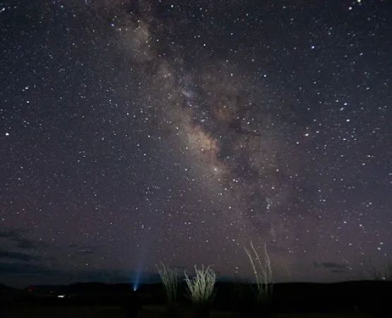 Croesus Canyon Camps