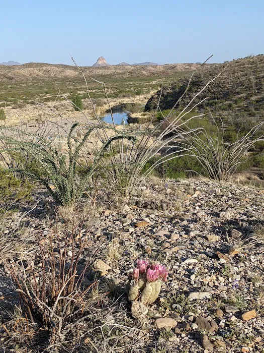 Terlingua Abajo 1 2
