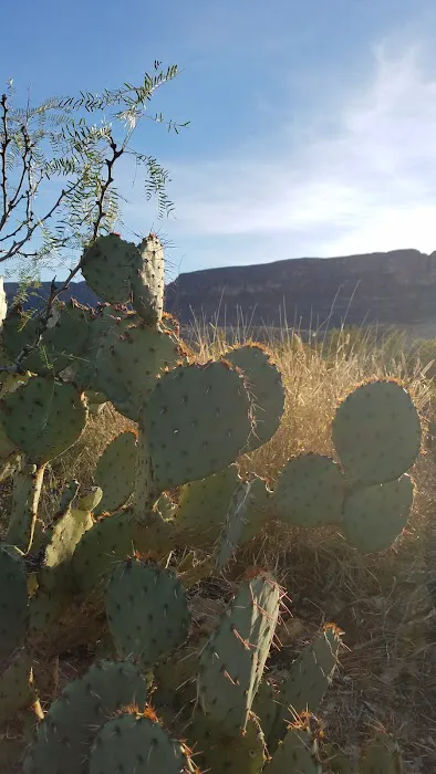 Terlingua Abajo 1 8