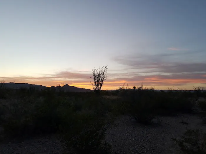 Ocotillo Grove 2