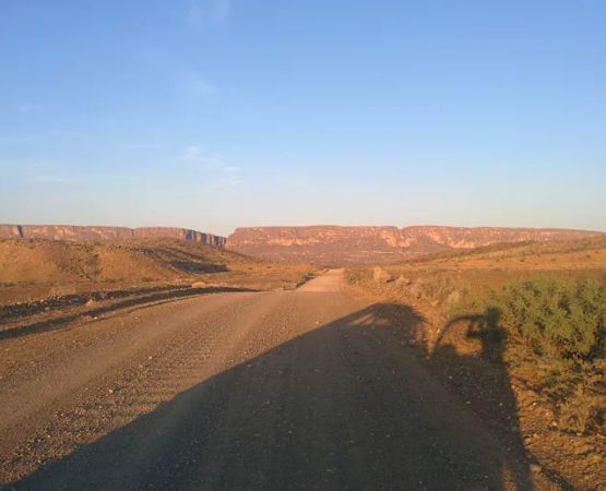 Ocotillo Grove