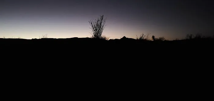 Ocotillo Grove 3