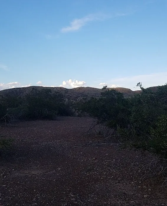 Ocotillo Grove 5