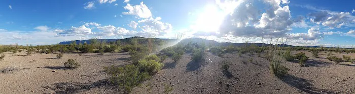 Ocotillo Grove 7