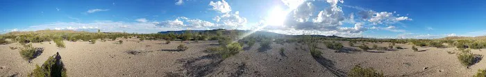 Ocotillo Grove 6