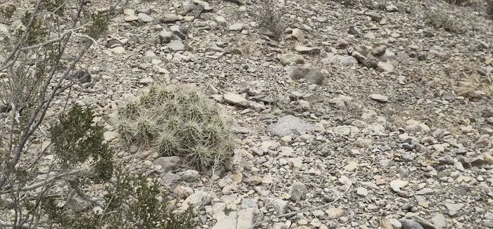 Rattlesnake Mountain 8