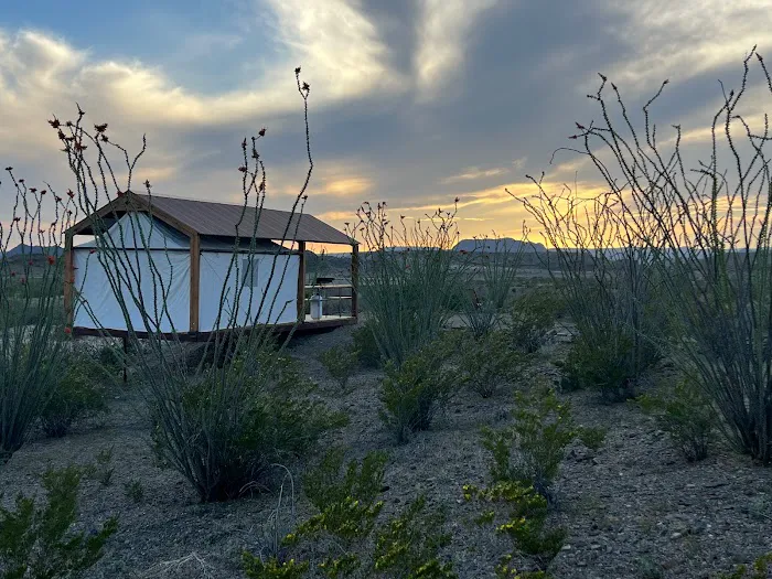 Rancho de los Arboles Muertos 4