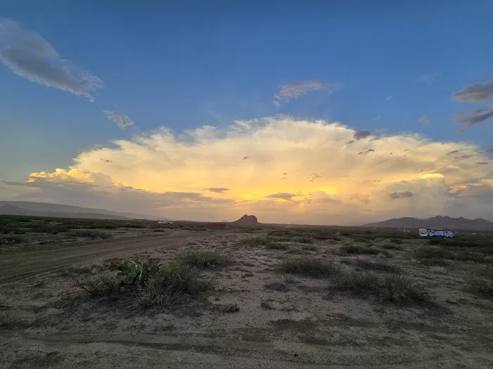 Mills Ranch 5