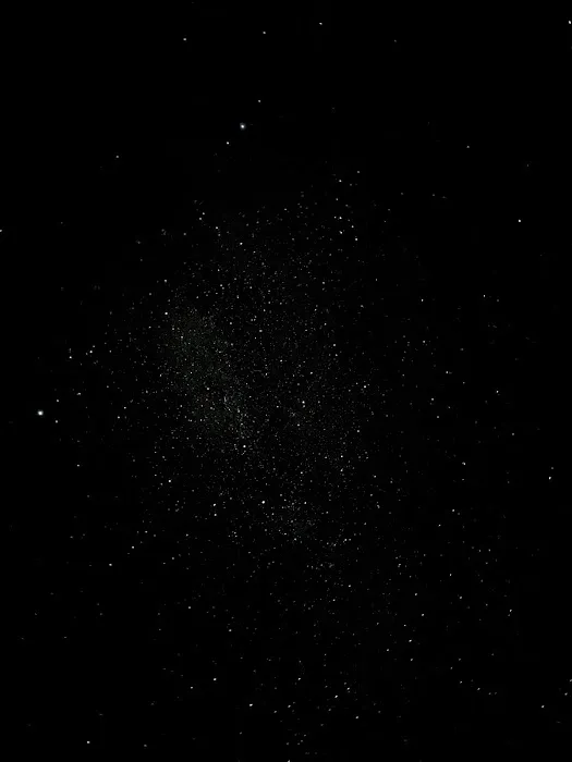 Nesting Star Camp 4
