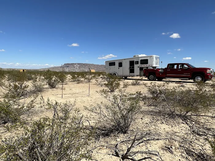 Nesting Star Camp 8