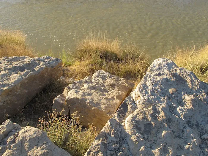 La Clocha 8
