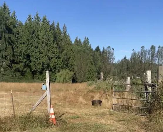 High Hopes Farm