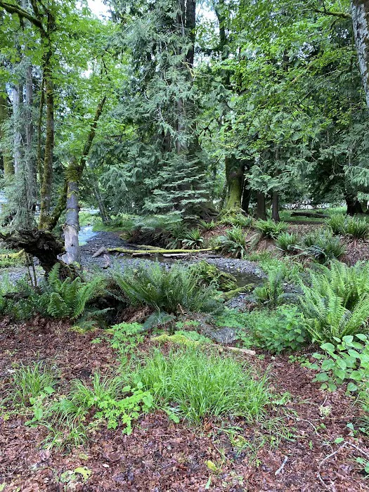 Log Cabin Resort-Campground 6