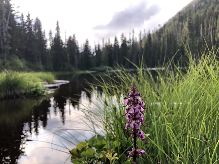 Happy Lake 3