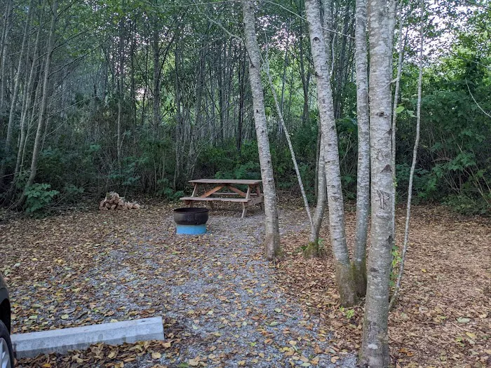 Twin Beach Campground 5