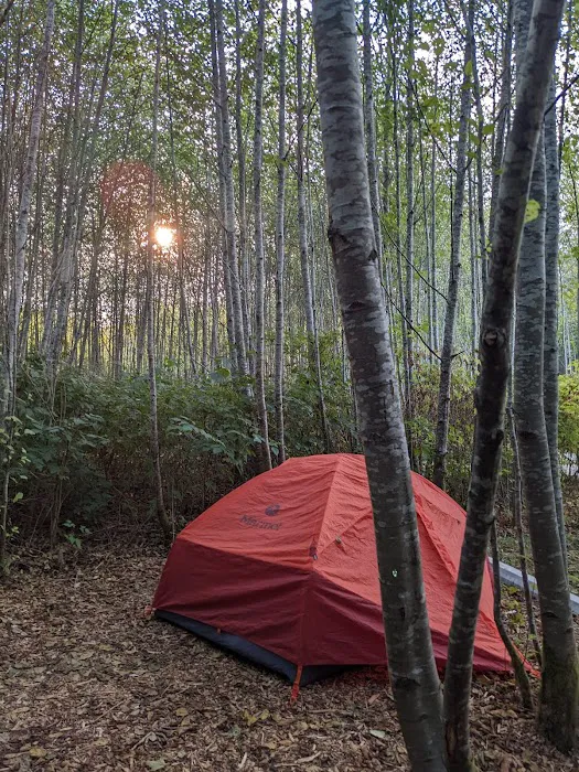 Twin Beach Campground 7