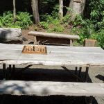 Sol Duc Rainforest Retreat