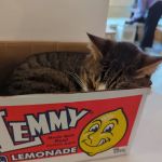 Lighthouse Marine Park Campground