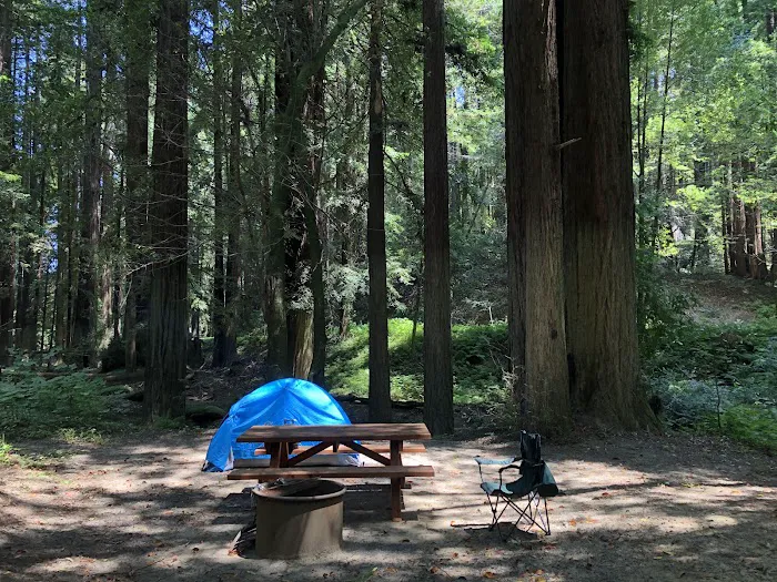 Dimmick Memorial Grove State Park 4