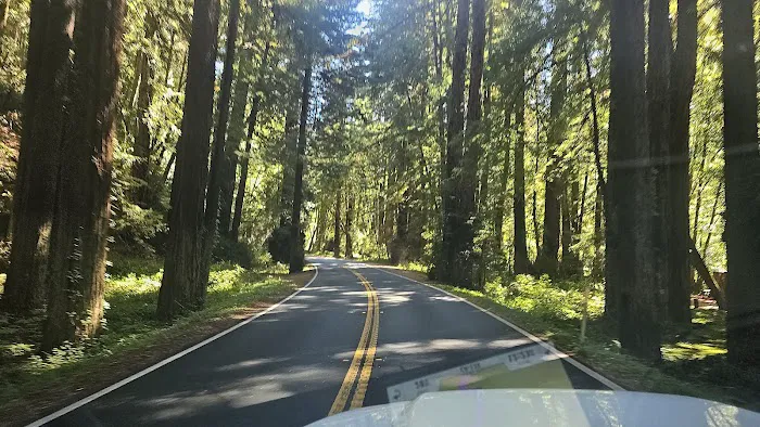 Dimmick Memorial Grove State Park 5