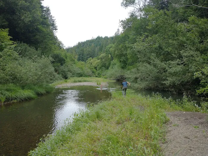 Dimmick Memorial Grove State Park 7