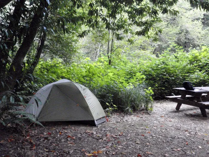 Dimmick Memorial Grove State Park 8