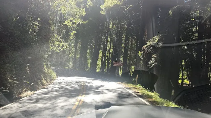 Dimmick Memorial Grove State Park 3