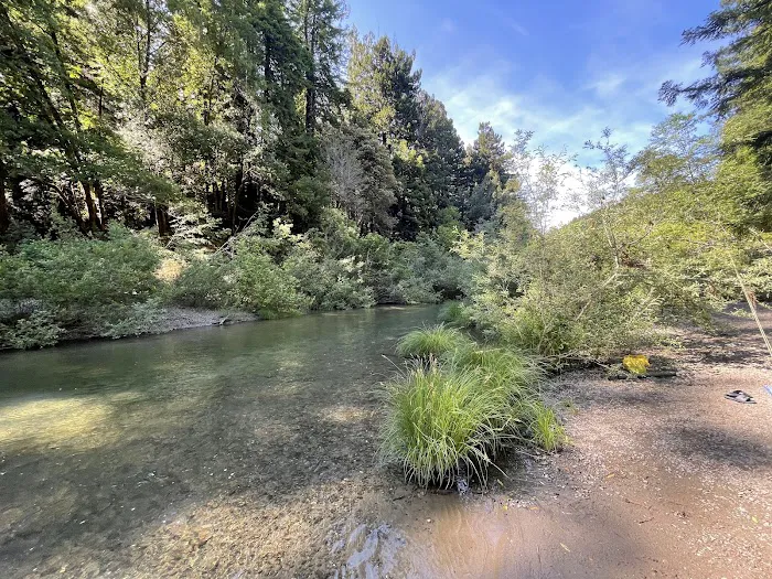 Dimmick Memorial Grove State Park 1
