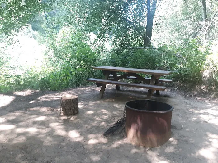 Dimmick Memorial Grove State Park 0