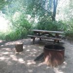 Dimmick Memorial Grove State Park