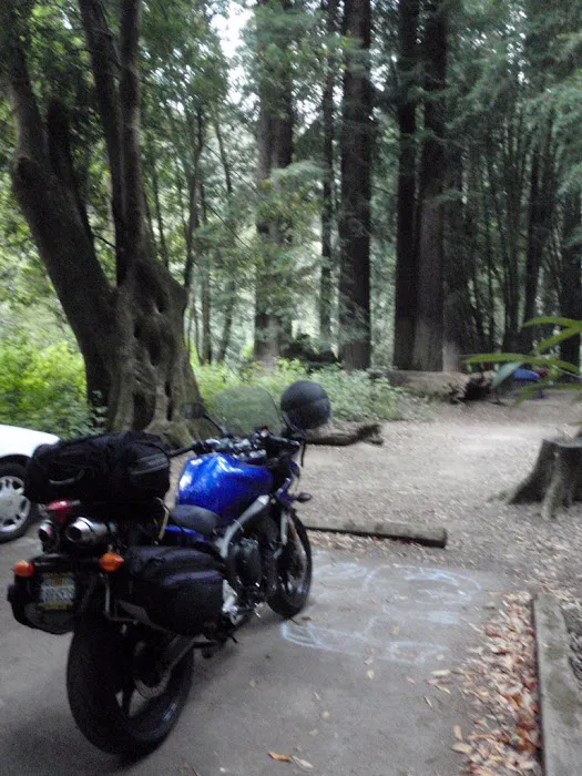 Dimmick Memorial Grove State Park 6