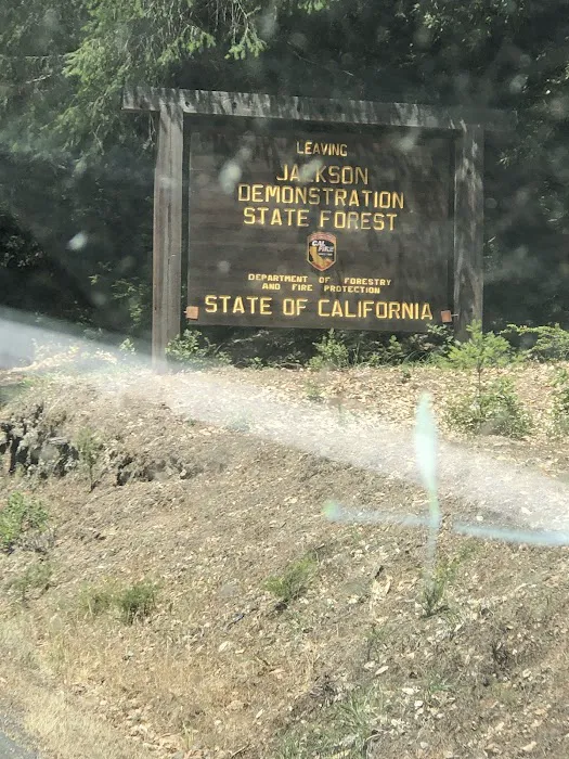 Horse Camp 1