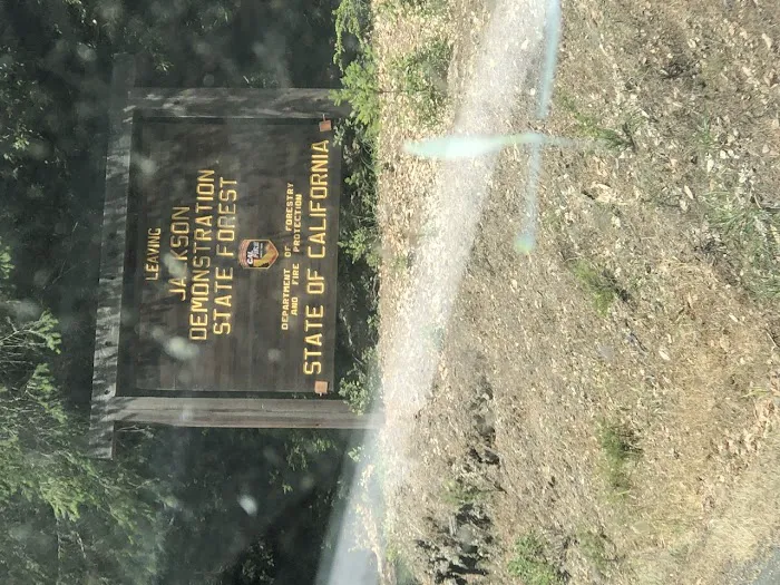 Horse Camp 3