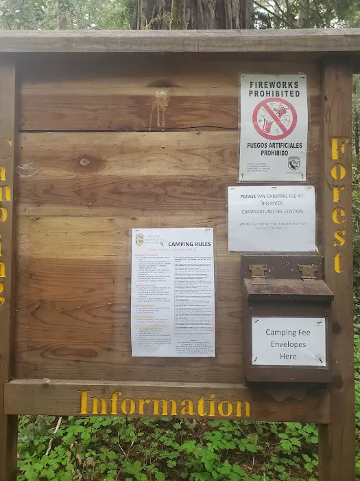 Horse Camp 4