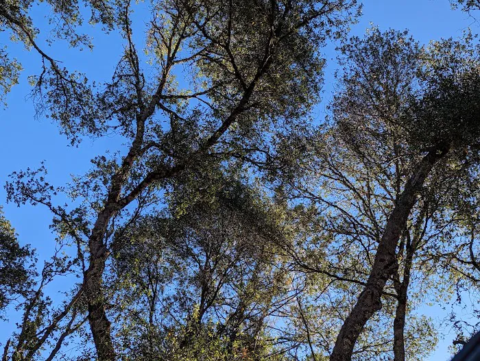 Bushay Recreation Area 8