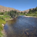 Moosehead Campground