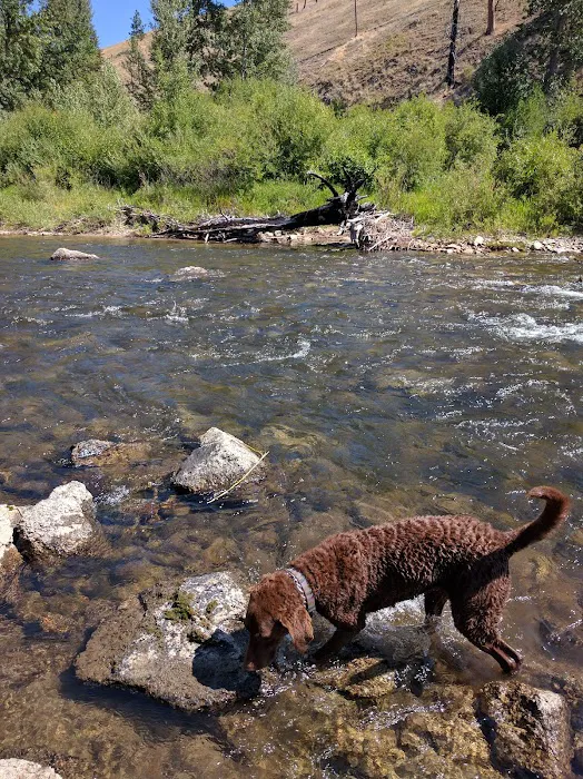 Moosehead Campground 1