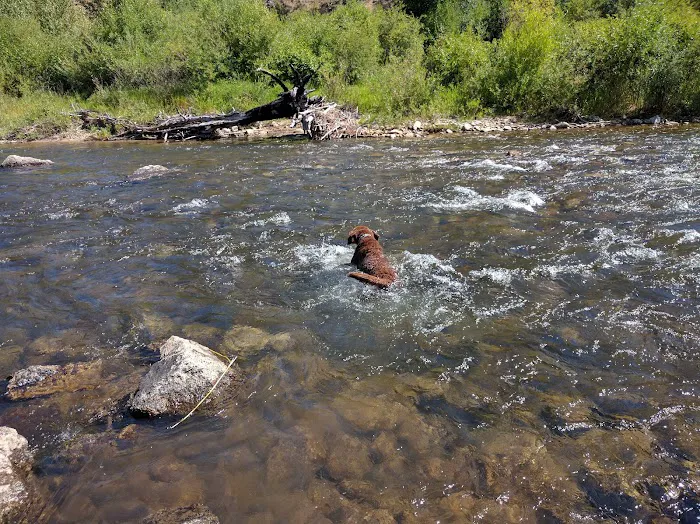 Moosehead Campground 4