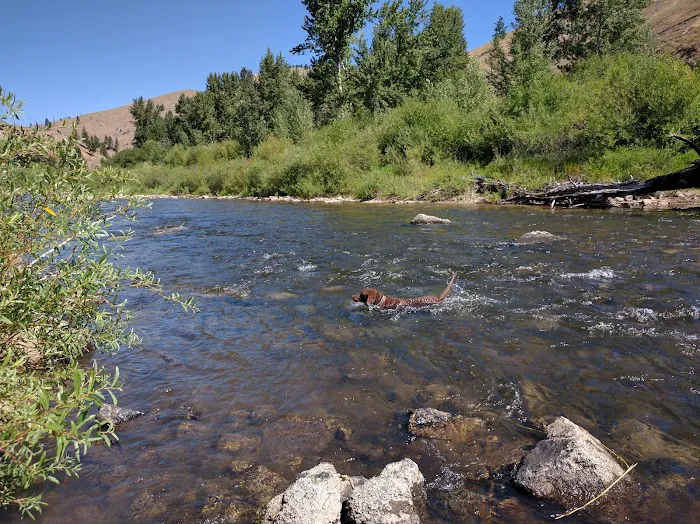 Moosehead Campground 3