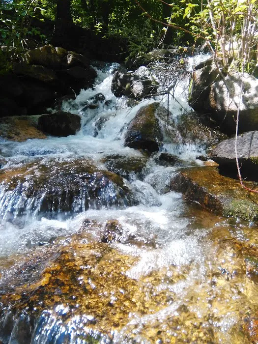 Crazy Creek Campground 1