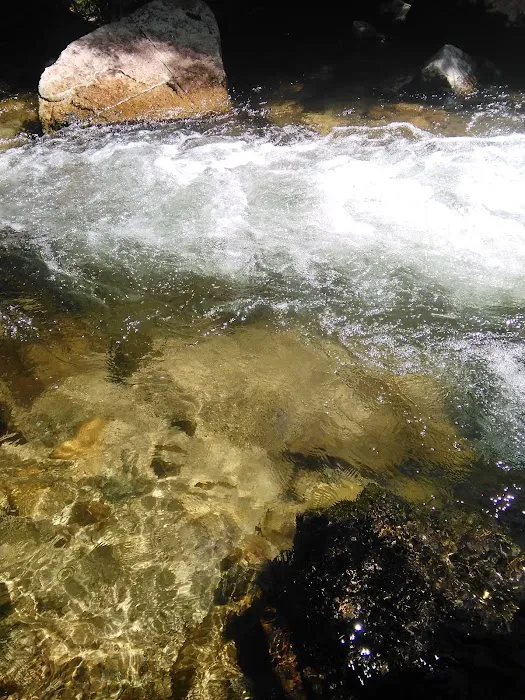 Crazy Creek Campground 5