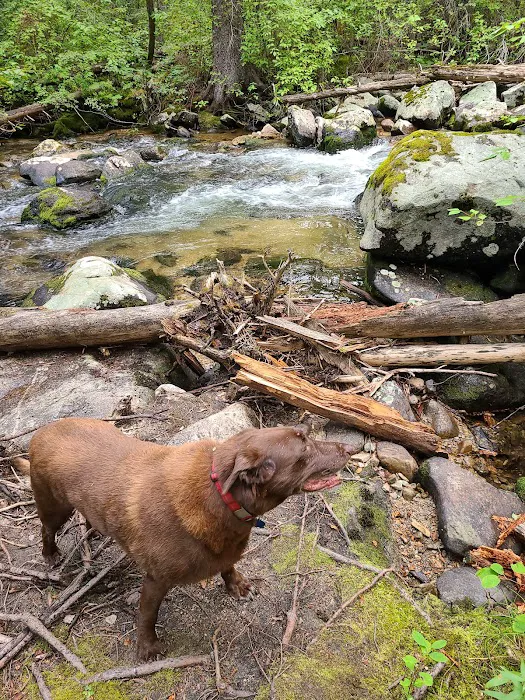 Crazy Creek Campground 8