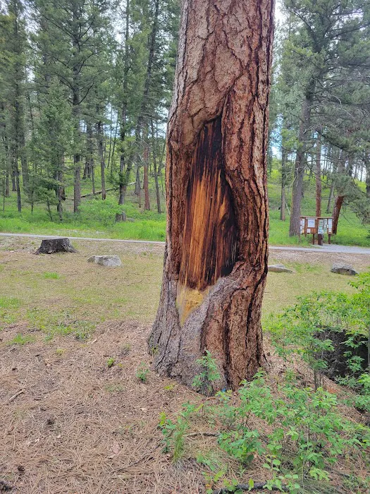 Indian Trees Campground 4
