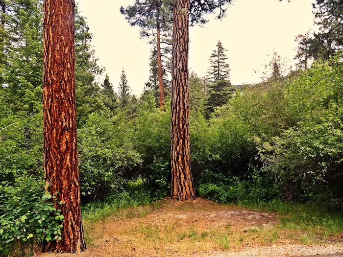 Indian Trees Campground 3