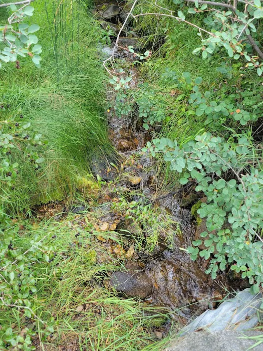 Indian Trees Campground 7