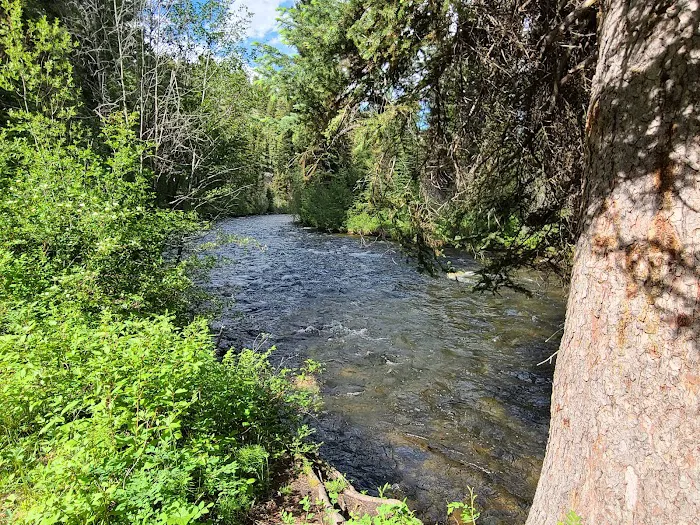 Jennings Camp Campground 1