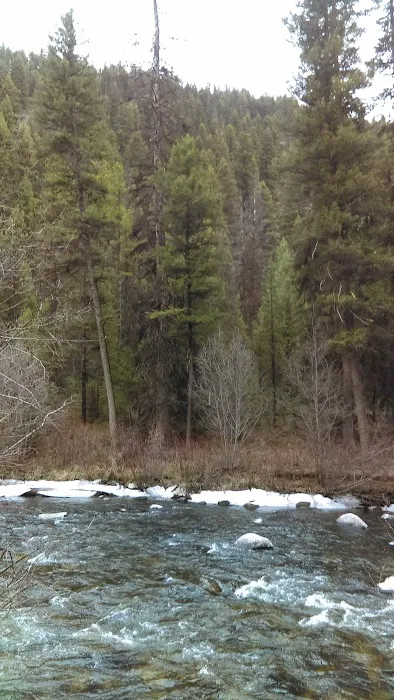 Jennings Camp Campground 6